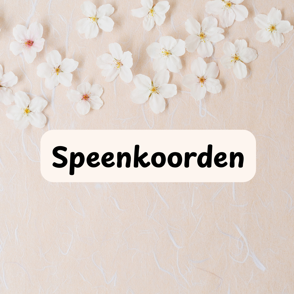 Speenkoorden